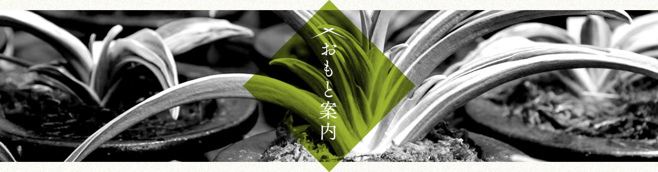 おもと案内