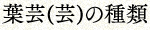 葉芸(芸)の種類